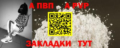 2c-b Кингисепп