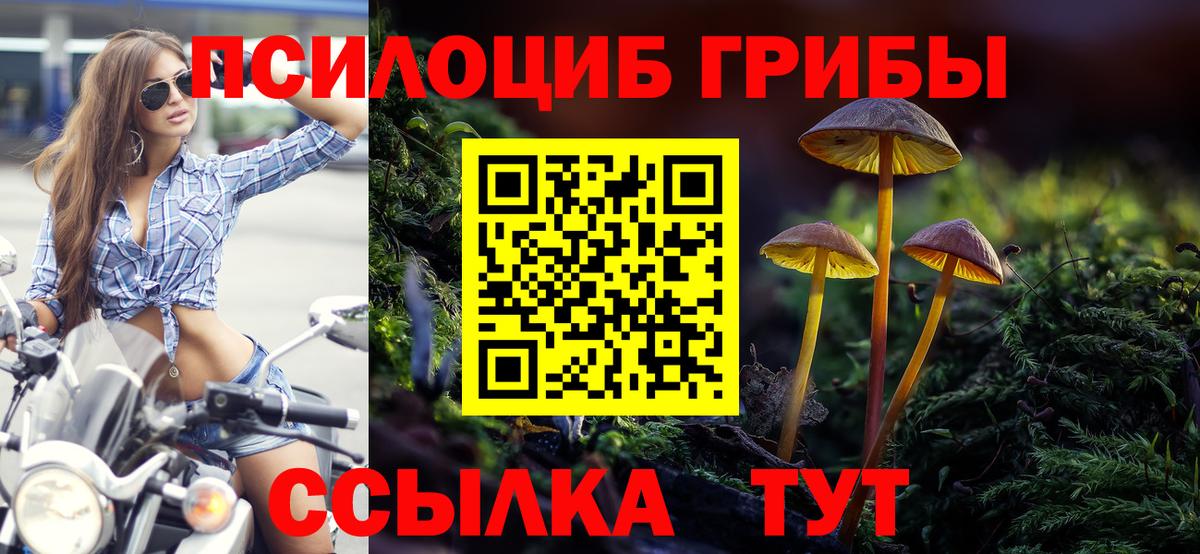 Златоуст  Галлюциногенные грибы мухоморы  Галлюциногенные грибы мухоморы  Вход с VPN 